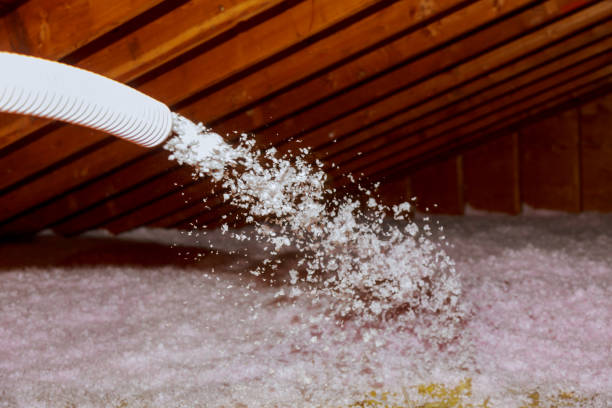 Best Insulation Inspection Services  in Parker, SC