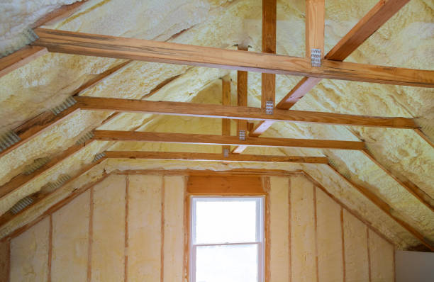 Best Blown-in Insulation  in Parker, SC