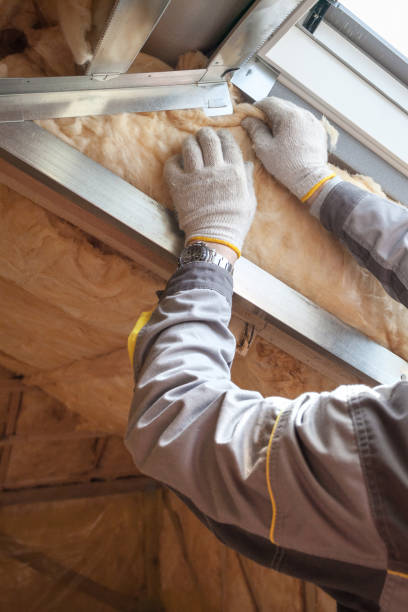 Best Home Insulation Services  in Parker, SC