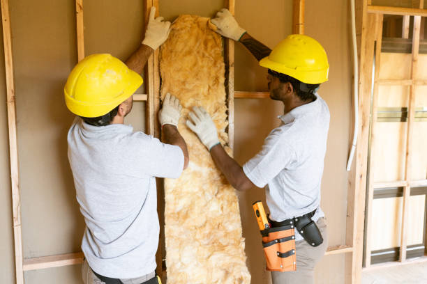 Best Insulation Repair Services  in Parker, SC
