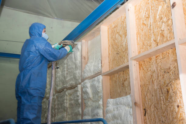 Best Residential Insulation Services  in Parker, SC